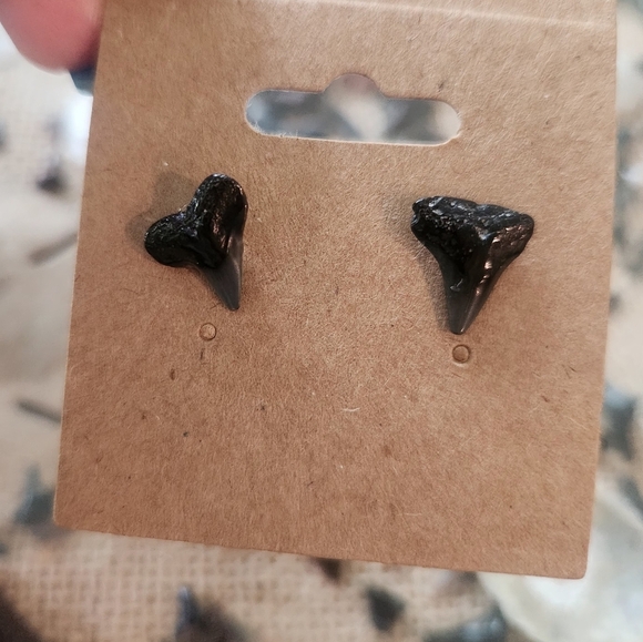 Handmade Black Shark Tooth Stud Earrings - Picture 2 of 3